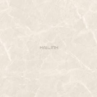 Ảnh Gạch Ấn Độ CSI88190 3