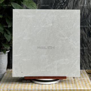 Ảnh Gạch Ấn Độ CSI88190 5