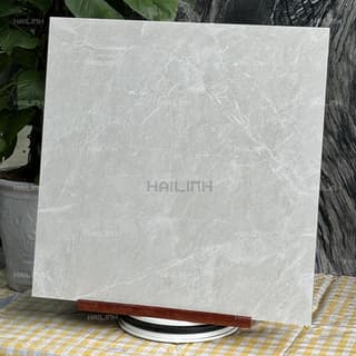 Ảnh Gạch Ấn Độ CSI88190 6