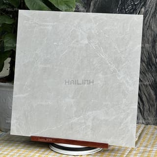 Ảnh Gạch Ấn Độ CSI88190 7