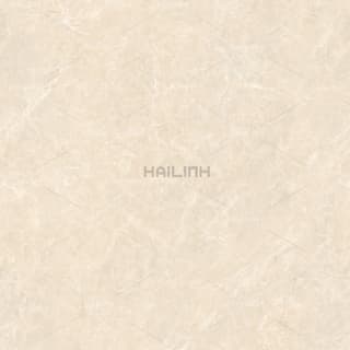 Ảnh Gạch Ấn Độ CSI88191 2