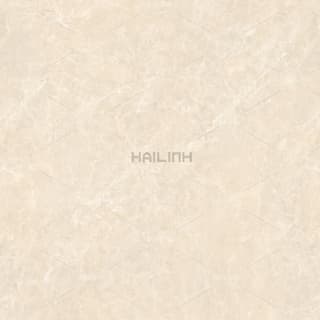 Ảnh Gạch Ấn Độ CSI88191 3