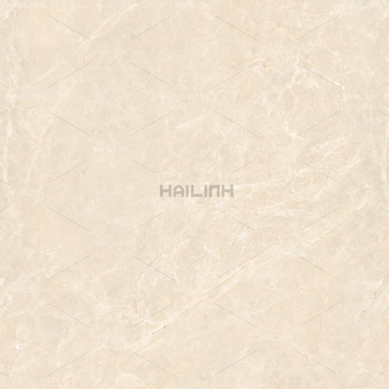 Gạch Ấn Độ CSI88191