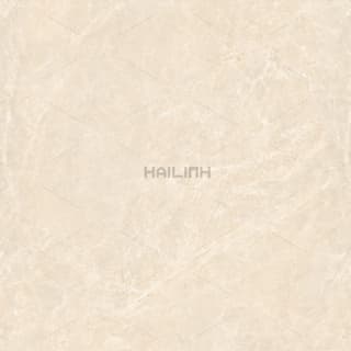 Ảnh Gạch Ấn Độ CSI88191 1