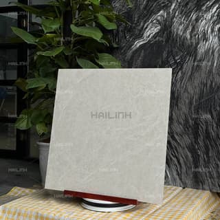 Ảnh Gạch Ấn Độ CSI88191 6