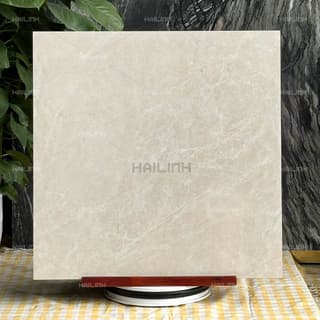 Ảnh Gạch Ấn Độ CSI88191 7