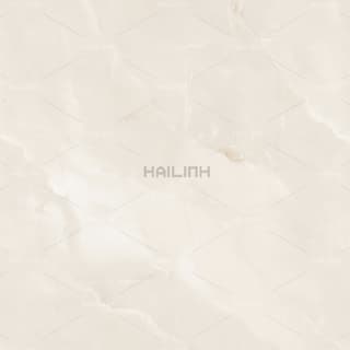 Ảnh Gạch Ấn Độ CSI88192 2