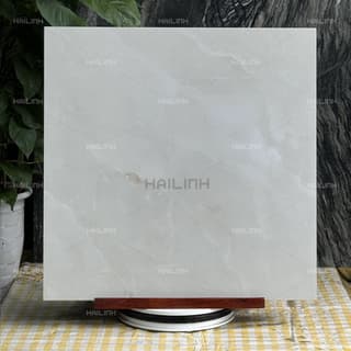 Ảnh Gạch Ấn Độ CSI88192 6