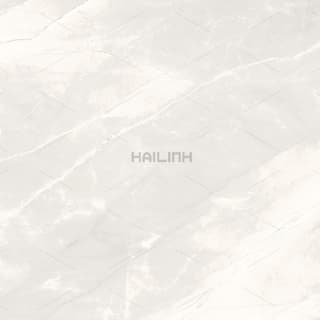 Ảnh Gạch Ấn Độ CSI88193 4