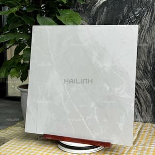 Ảnh Gạch Ấn Độ CSI88193 6