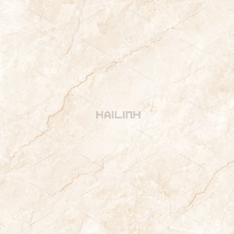 Gạch Ấn Độ CSI88194