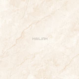 Ảnh Gạch Ấn Độ CSI88194 1