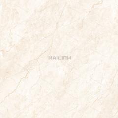 Ảnh Gạch Ấn Độ CSI88194 3