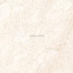 Ảnh Gạch Ấn Độ CSI88194 4