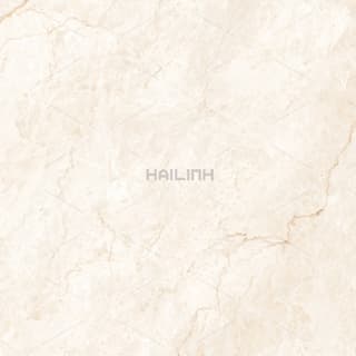 Ảnh Gạch Ấn Độ CSI88194 4