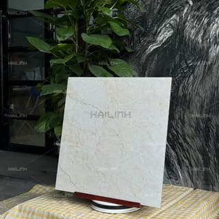 Ảnh Gạch Ấn Độ CSI88194 5