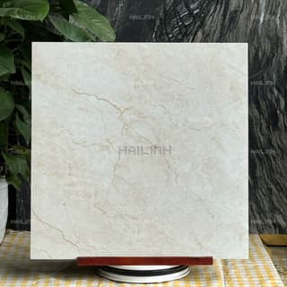 Ảnh Gạch Ấn Độ CSI88194 6