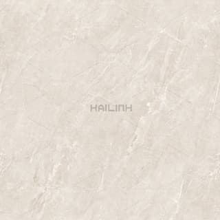 Ảnh Gạch Ấn Độ CSI88195 1