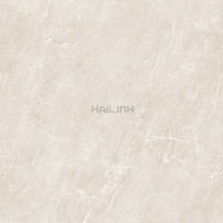 Ảnh Gạch Ấn Độ CSI88195 3