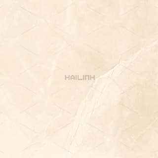 Ảnh Gạch Ấn Độ CSI88196 2