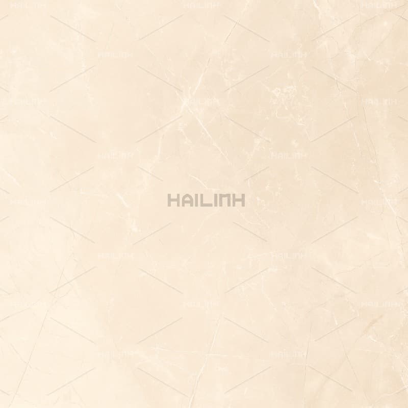 Gạch Ấn Độ CSI88196