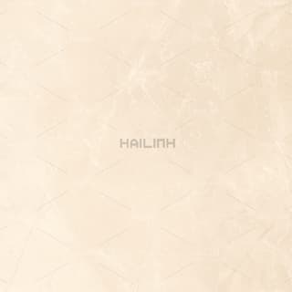 Ảnh Gạch Ấn Độ CSI88196 1