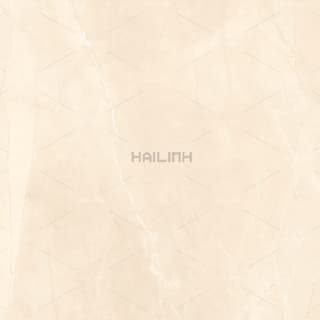 Ảnh Gạch Ấn Độ CSI88196 3