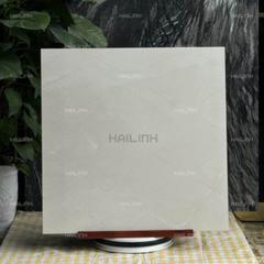 Ảnh Gạch Ấn Độ CSI88196 5