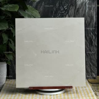 Ảnh Gạch Ấn Độ CSI88196 5