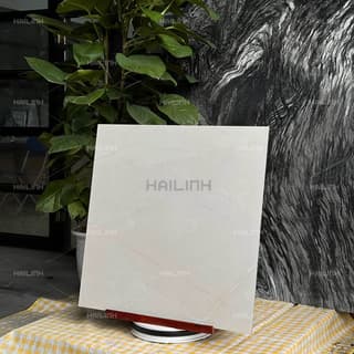 Ảnh Gạch Ấn Độ CSI88196 7