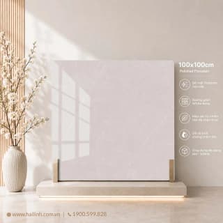 Ảnh Gạch Ấn Độ CSI100201B 2