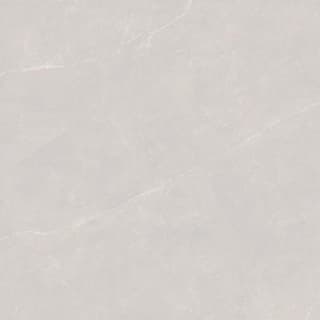 Ảnh Gạch Ấn Độ CSI100201B 5