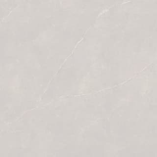 Ảnh Gạch Ấn Độ CSI100201B 7