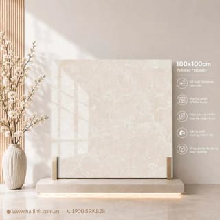 Ảnh Gạch Ấn Độ CSI100202B 2