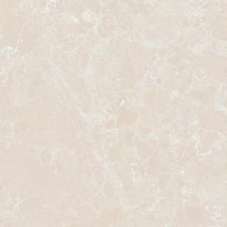 Ảnh Gạch Ấn Độ CSI100202B 5
