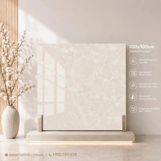 Ảnh Gạch Ấn Độ CSI100203B 2