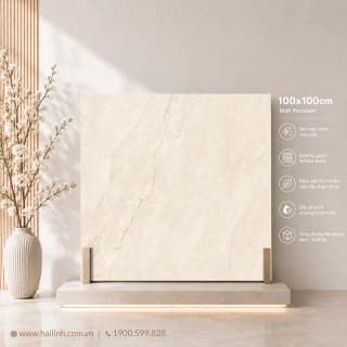 Ảnh Gạch Ấn Độ CSI100204B 2