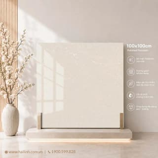 Ảnh Gạch Ấn Độ CSI100207B 2