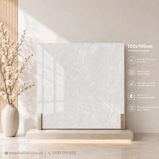 Ảnh Gạch Ấn Độ CSI100208B 2