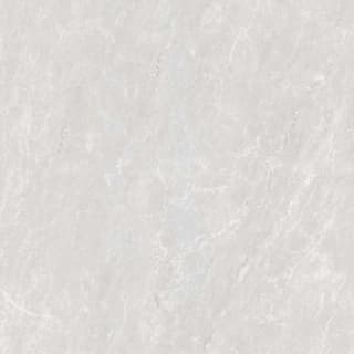 Ảnh Gạch Ấn Độ CSI100208B 6