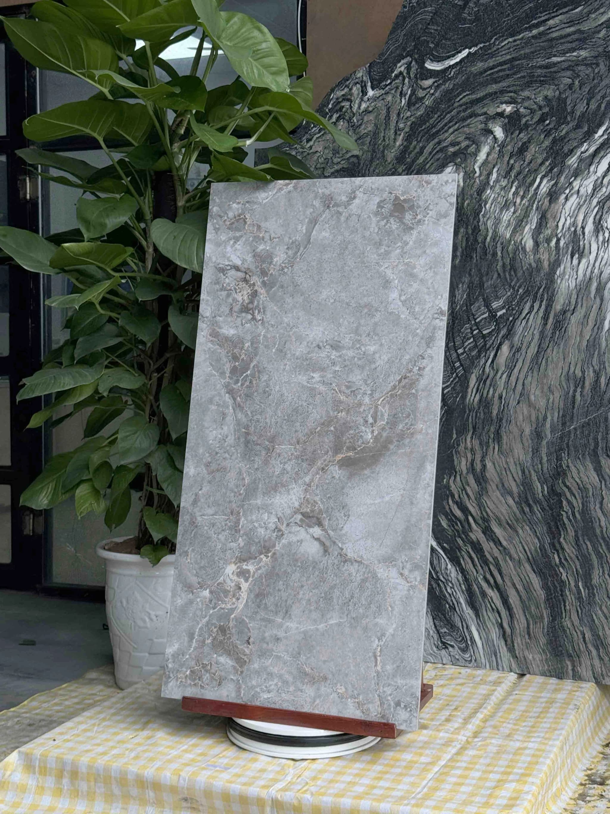 Gạch Ấn Độ CSI612174