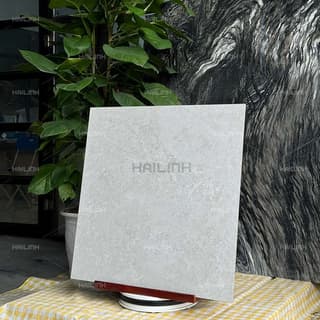 Ảnh Gạch Ấn Độ CSI88183 5