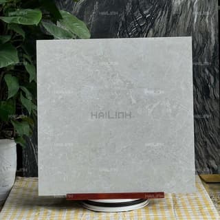 Ảnh Gạch Ấn Độ CSI88183 6