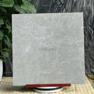 Ảnh Gạch Ấn Độ CSI88184 5