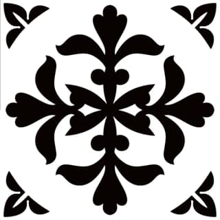 Ảnh Gạch bông Viglacera VBS301 1