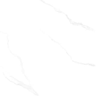 Ảnh Gạch CMC CGD1010009S4 2