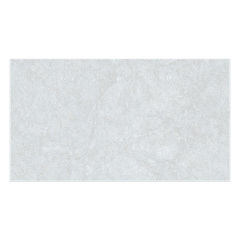 Gạch Đồng Tâm 4080FAME006-H+