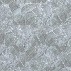 Ảnh Gạch Đồng Tâm 4080FAME010-H+ 3