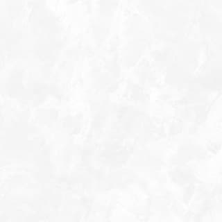 Ảnh Gạch Eurotile DNI S01P 3