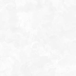 Ảnh Gạch Eurotile DNI S01P 1